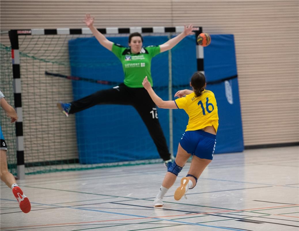 Die neue Sporthalle in Ammerbuch Entringen -   Handball Frauen SG Nebringen Reus...