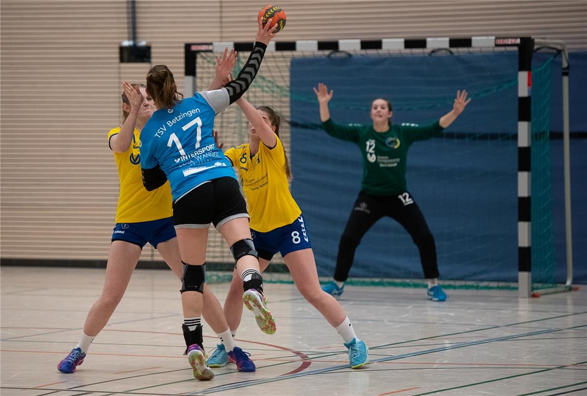 Die neue Sporthalle in Ammerbuch Entringen -   Handball Frauen SG Nebringen Reus...