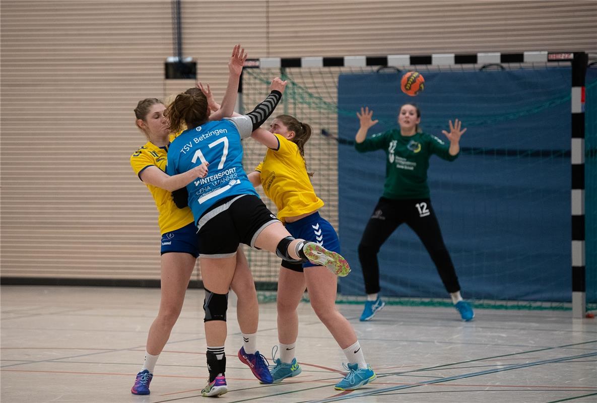 Die neue Sporthalle in Ammerbuch Entringen -   Handball Frauen SG Nebringen Reus...