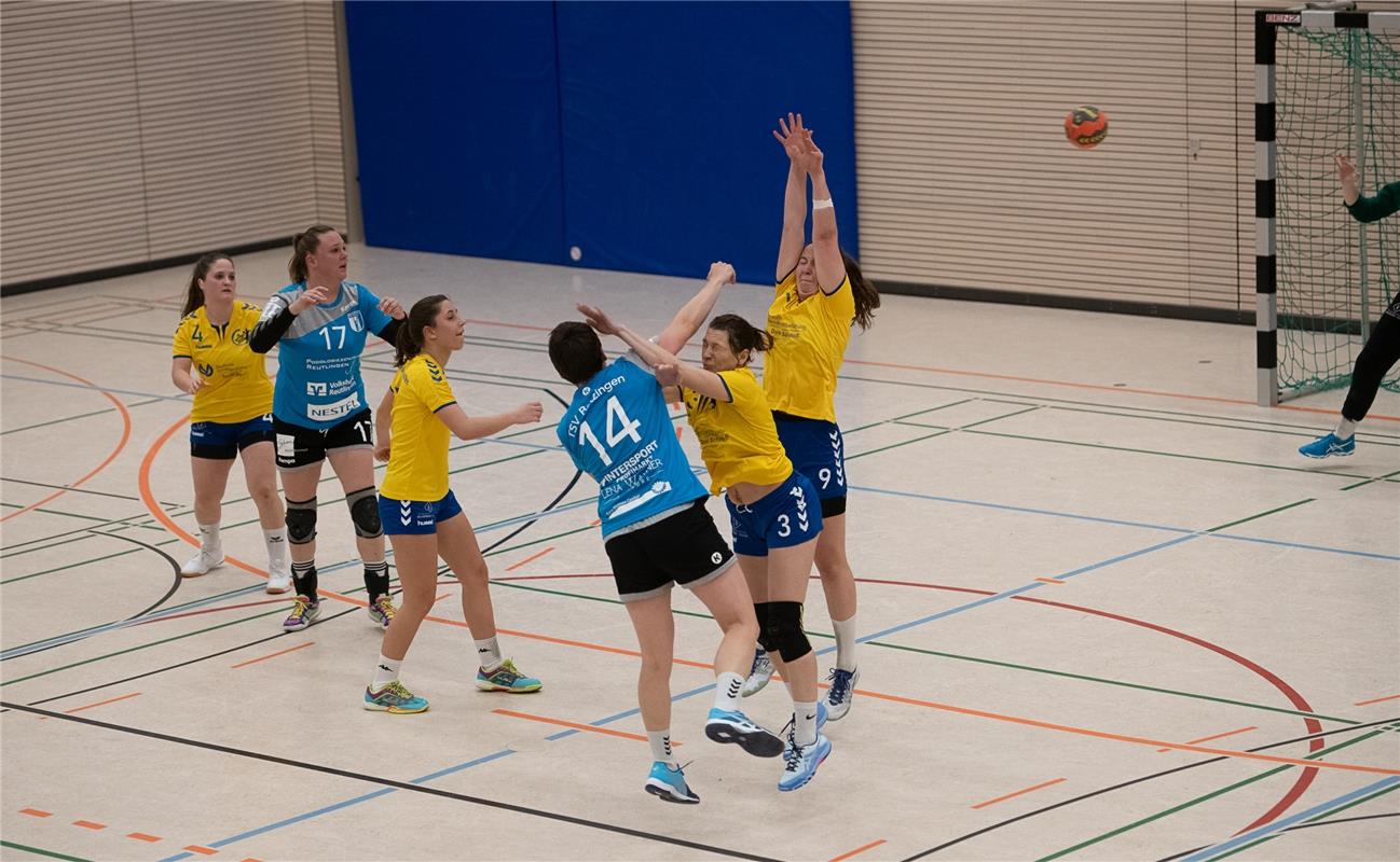 Die neue Sporthalle in Ammerbuch Entringen -   Handball Frauen SG Nebringen Reus...