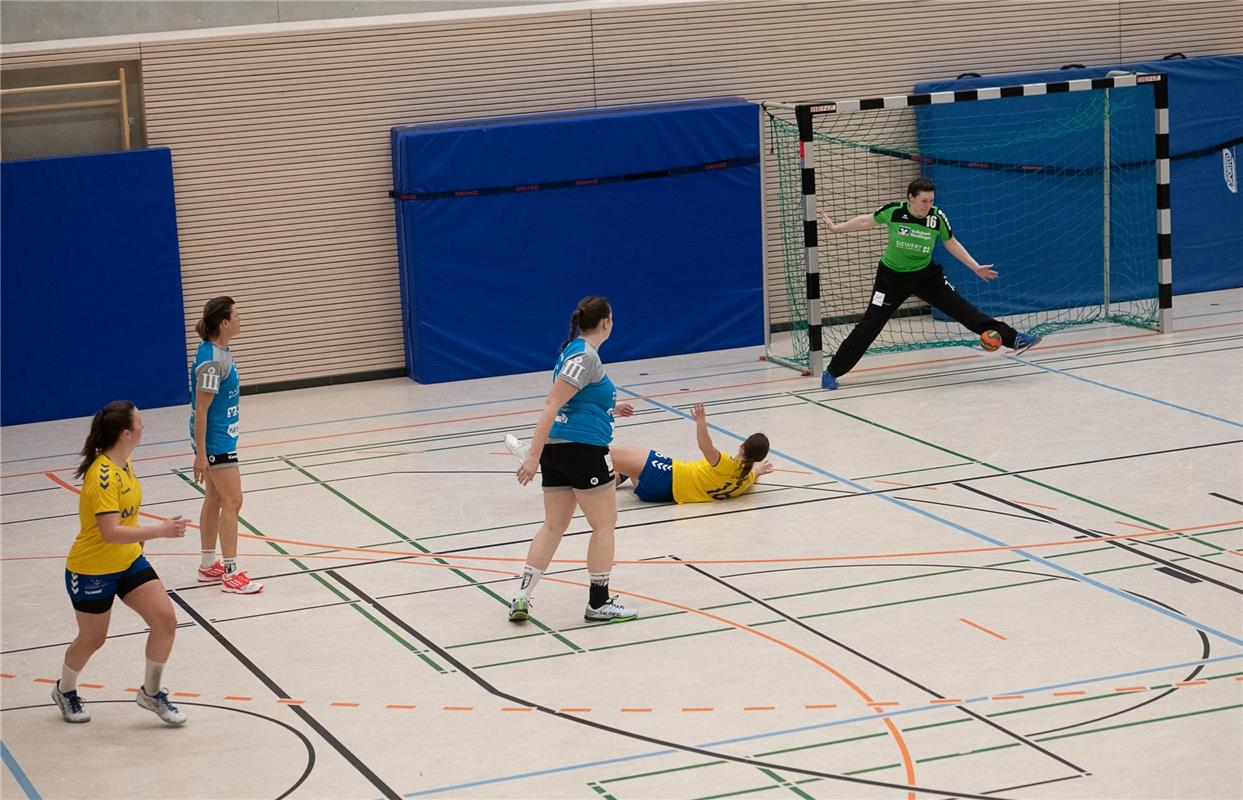 Die neue Sporthalle in Ammerbuch Entringen -   Handball Frauen SG Nebringen Reus...