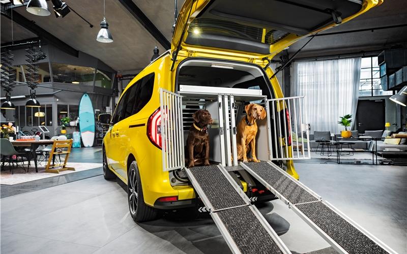 Viel Platz trifft auf Komfort und Stil Die neue T-Klasse: Auch für vierbeinige Mitfahrer bestens geeignet.