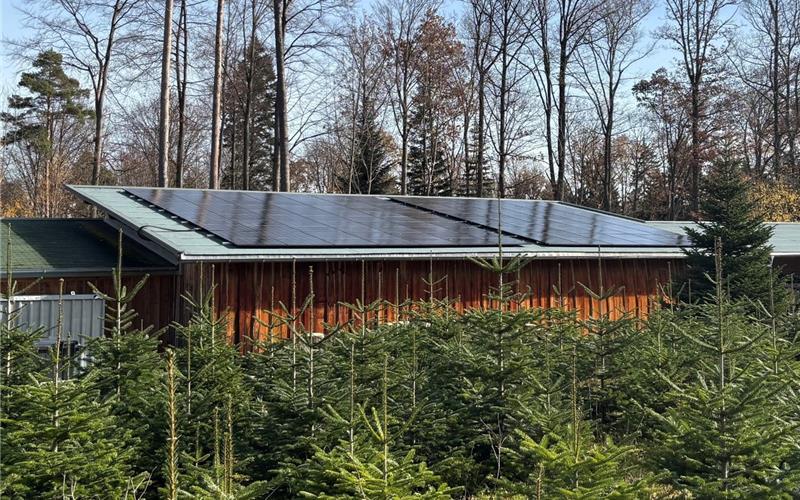 Die neuen Photovoltaik-Module auf dem Sindelfinger Forstbetriebshof. GB-Foto: gb
