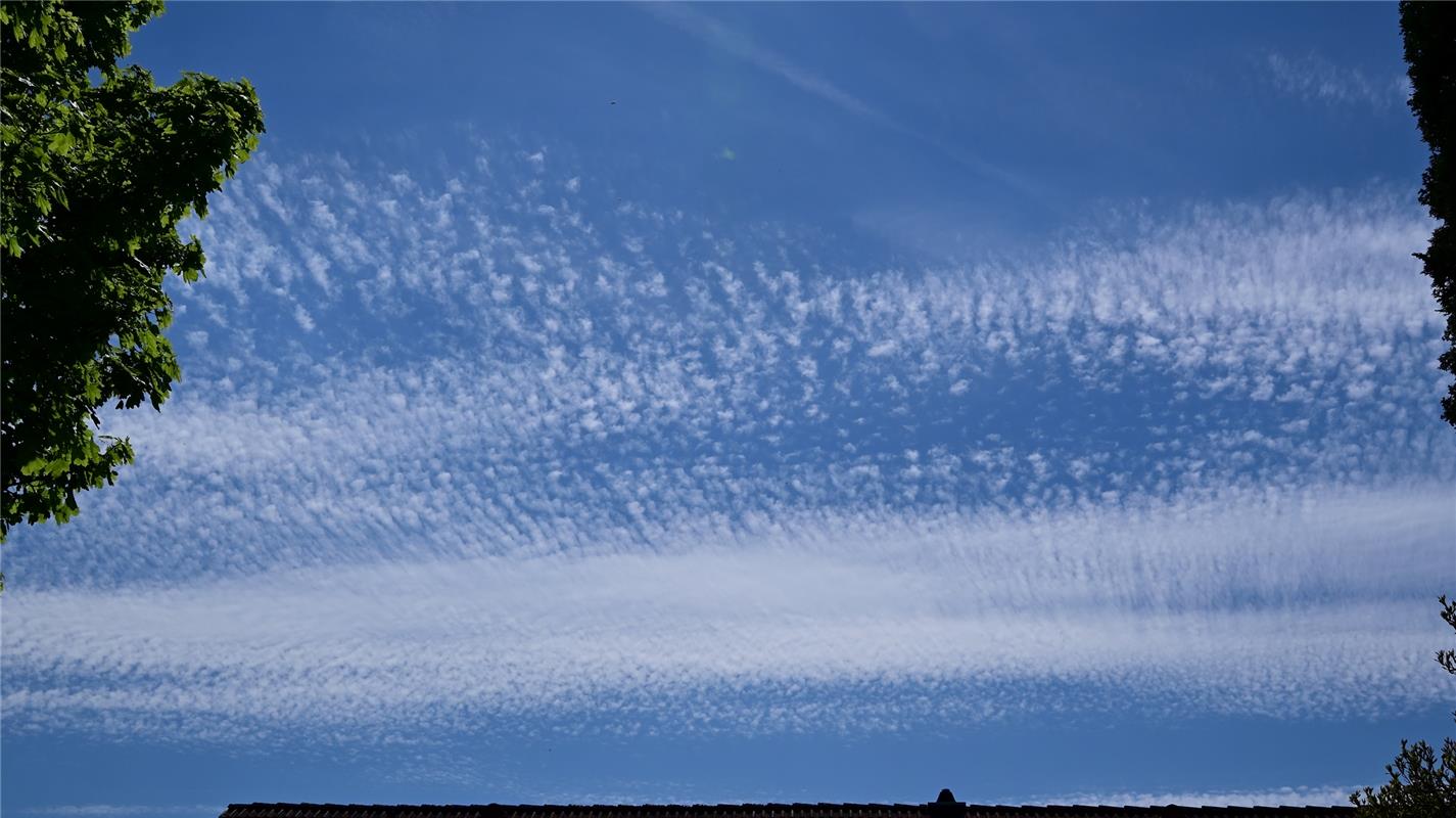 Die schönsten Bilder malt die Natur.  Von Peter Werle aus Bondorf.