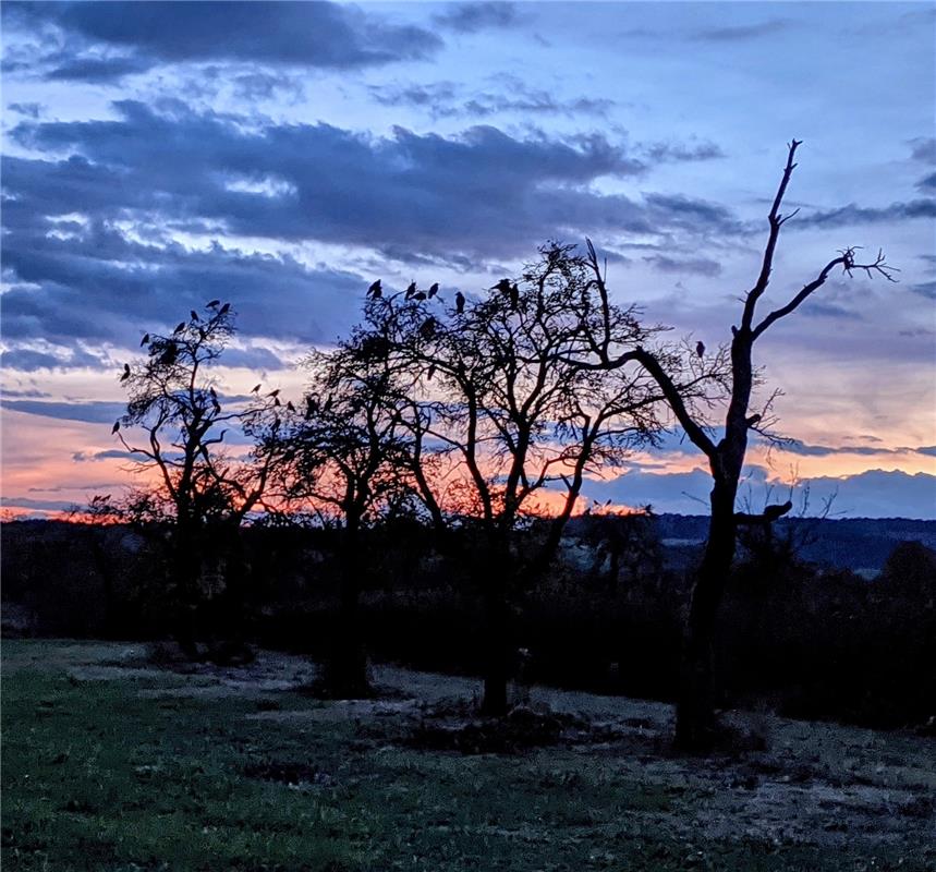 Diese Abendstimmung zwischen Herrenberg und Gültstein nahm Susanne Marquardt auf...