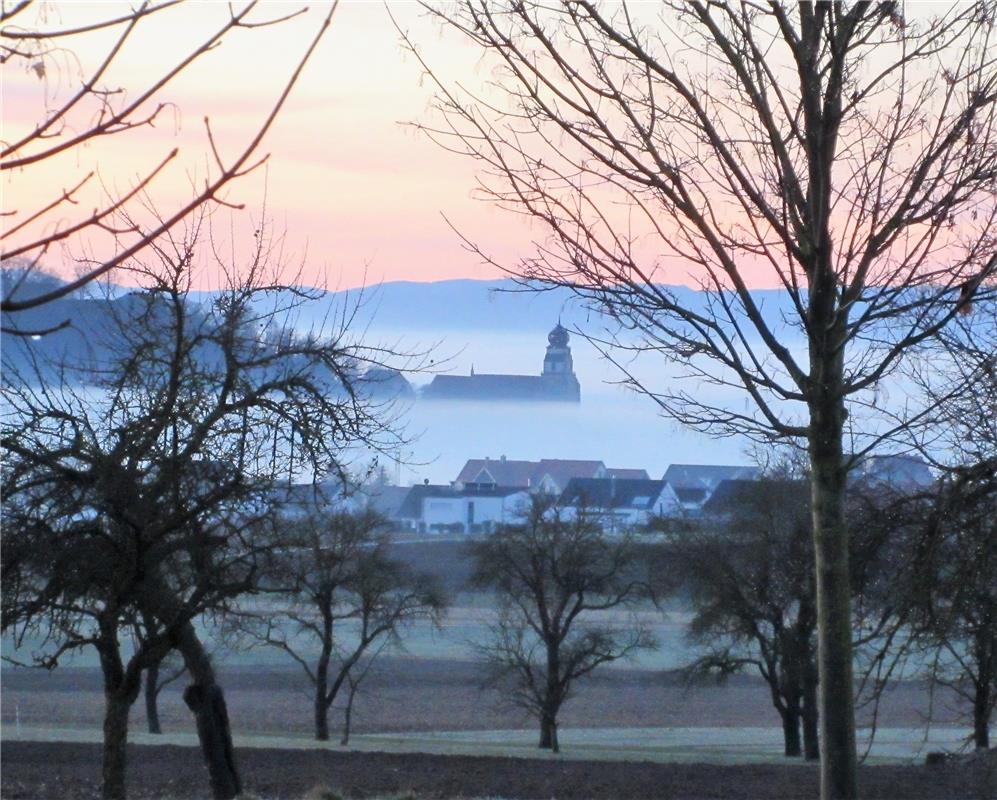 Diese Ansicht auf Herrenberg von Kuppingen aus stammt von Götz Zinser. 