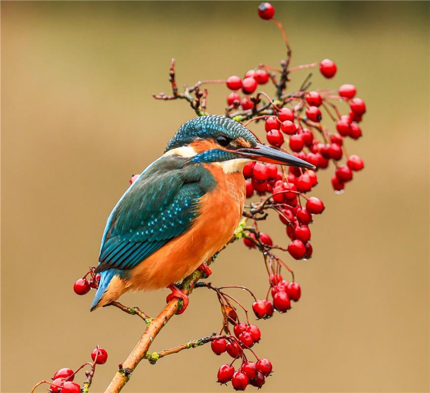 Diese Farben ...  Von Natalie Politz aus Hildrizhausen.