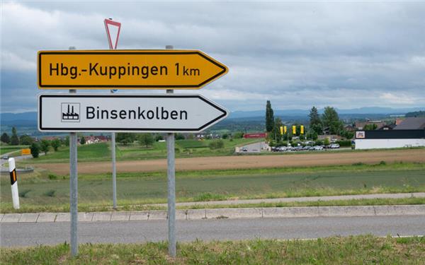 Diese Kandidaten stammen aus Kuppingen. Sie sind beziehungsweise waren für ihre Parteien Abgeordnete im Landtag.GB-Fotos (Archiv): gb/Vecsey
