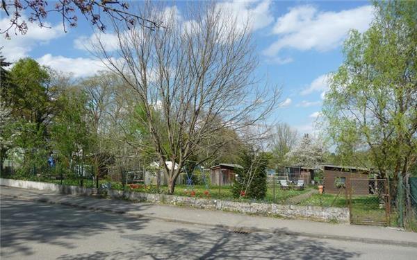 Diese Kleingärten mit ihren Schuppen sollen dem künftigen Feuerwehrgerätehaus weichen. GB-Foto: Reichert