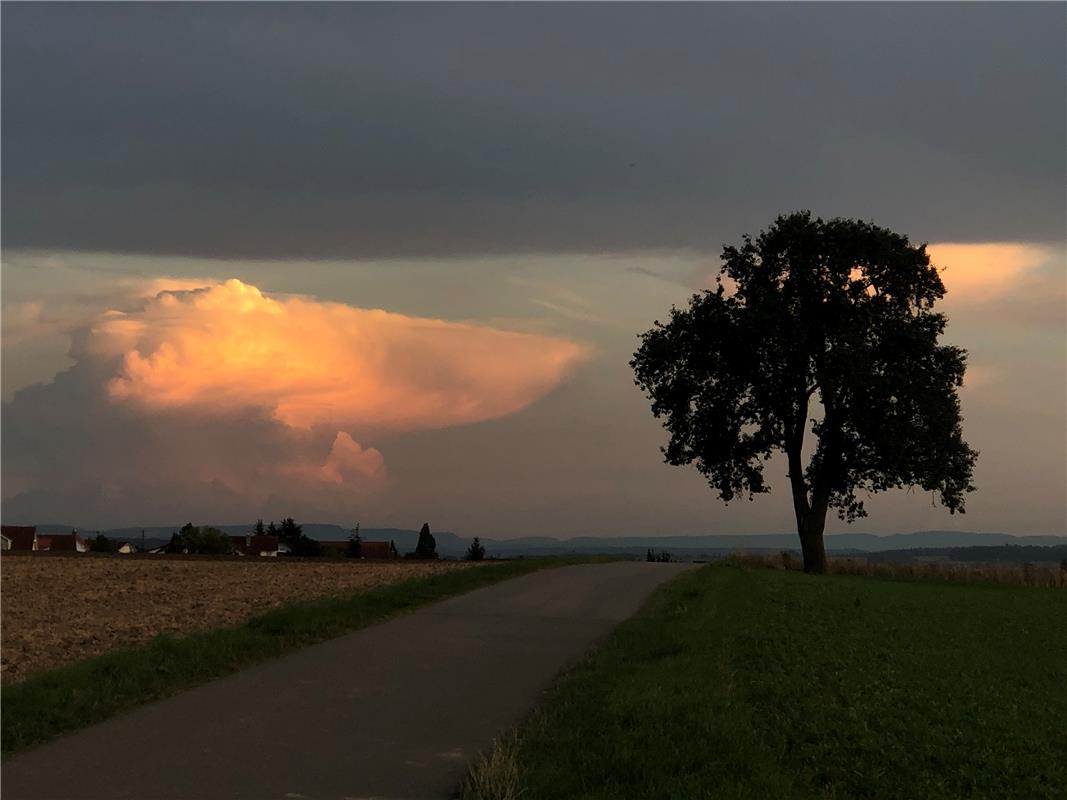 Diese Lichtstimmung auf dem Radweg von Herrenberg nach Gültstein hat der Hailfin...