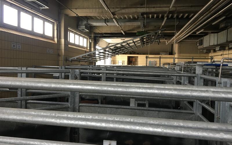 Diese Metallgestänge werden im modernisierten Schlachthof nicht mehr enthalten sein. GB-Foto: gb