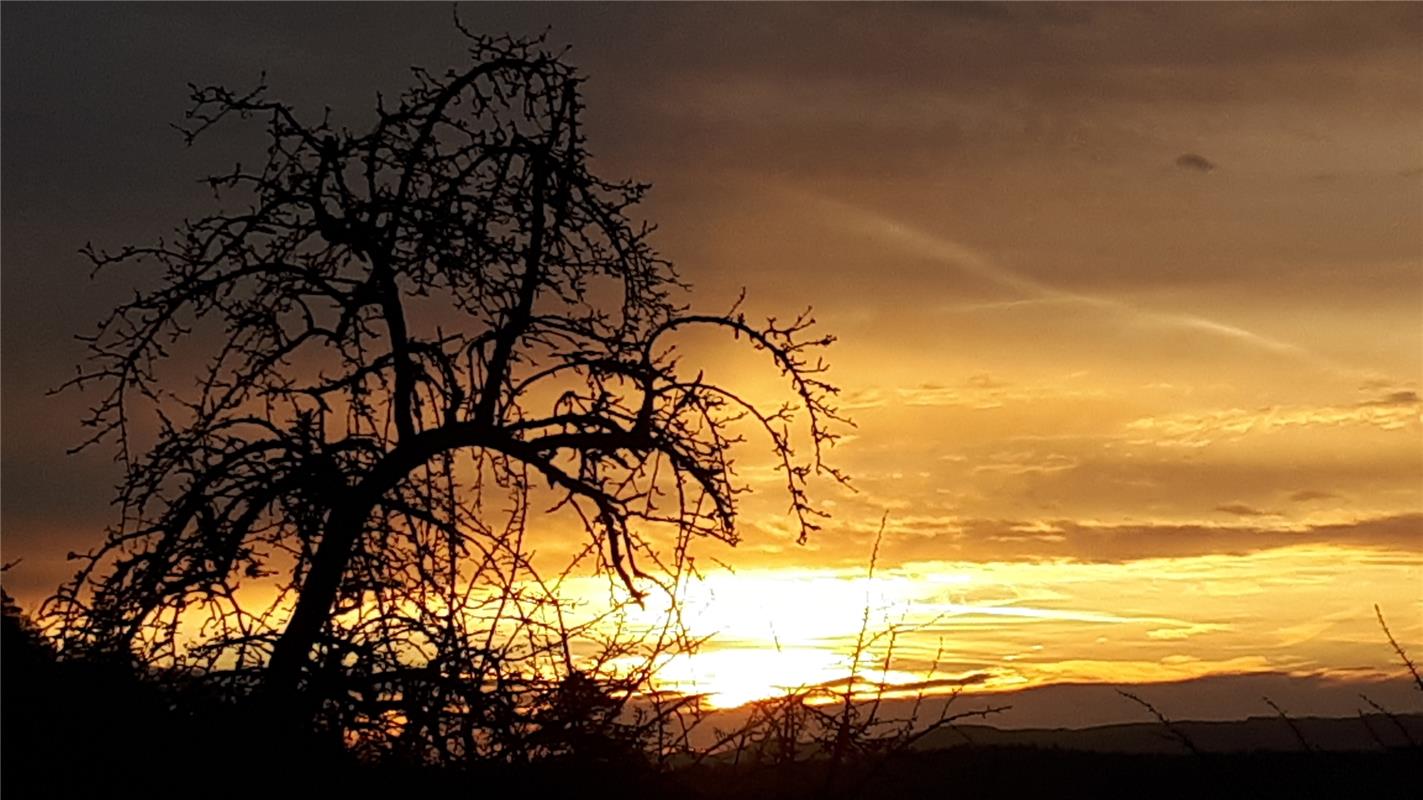 Diese Morgenstimmung  in Kayh stammt von der Kamera Günther Krezels. 