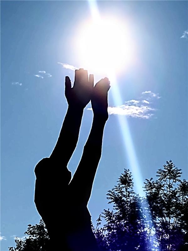 Diese Sonnenfängerin entdeckte Dagmar Weber am Schönbuchturm