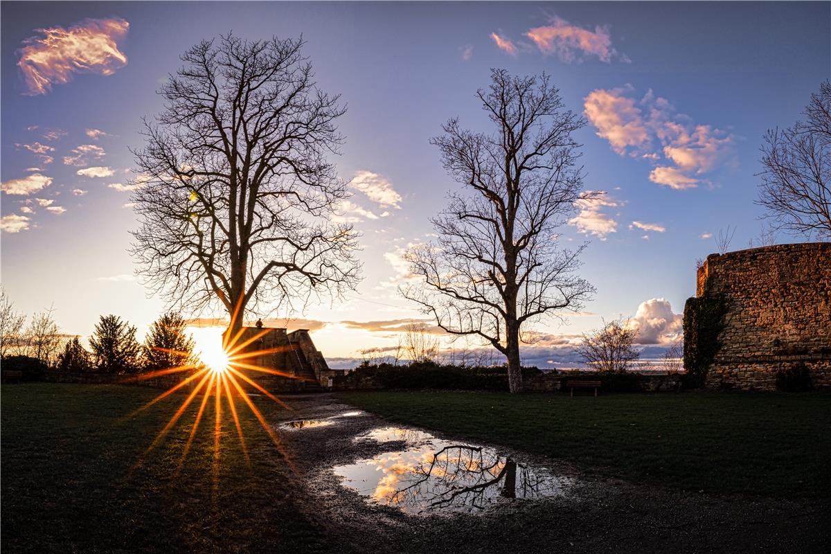 Diese Woche beim Abendrundgang zeigte sich die Sonne doch noch kurz nachdem es d...