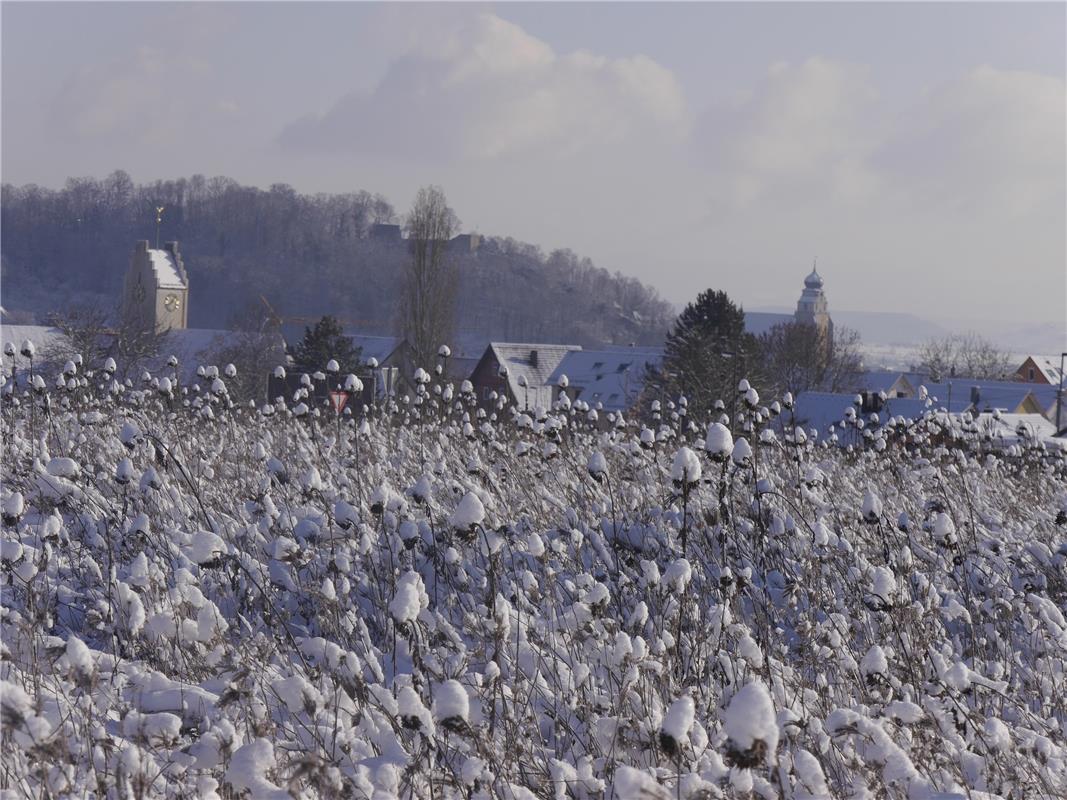 Diesen Blick von Affstätt auf Herrenberg warf Hans Zinser. 