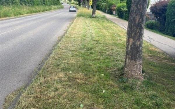 Dieser Grünstreifen entlang der Hildrizhauser Straße wurde illegal teilweise gemäht. GB-Foto: gb
