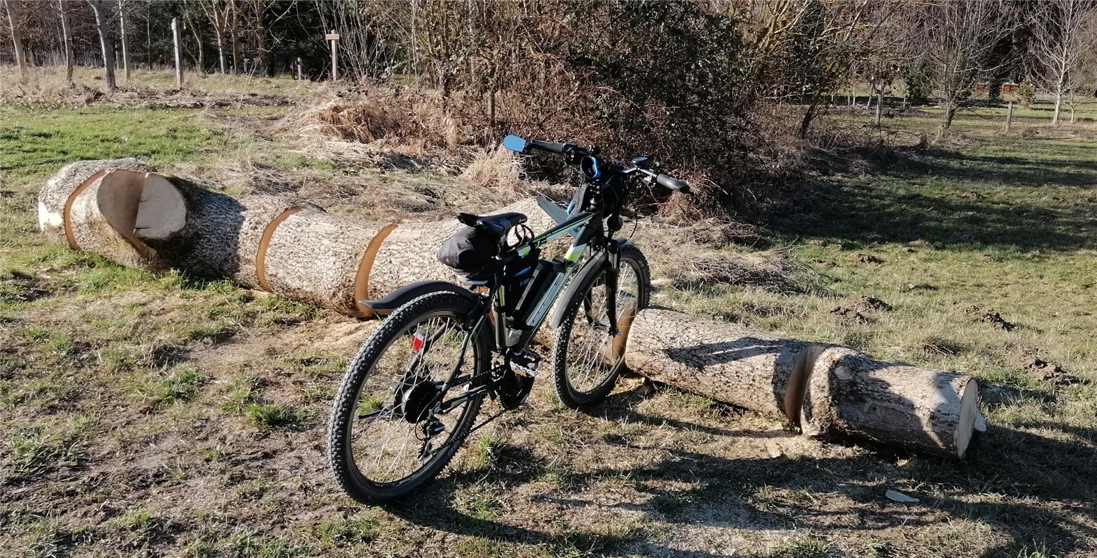 Dieser ökologische Fahrradständer steht am neuen Bondorfer Waldkindergarten, wie...