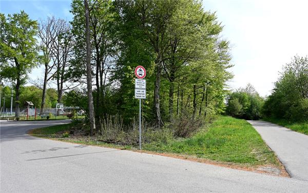 Dieses Fleckchen Grün wird der Kaltlufthalle weichen müssen. Die zuständige Forstbehörde hat zugestimmt. GB-Foto: Holom