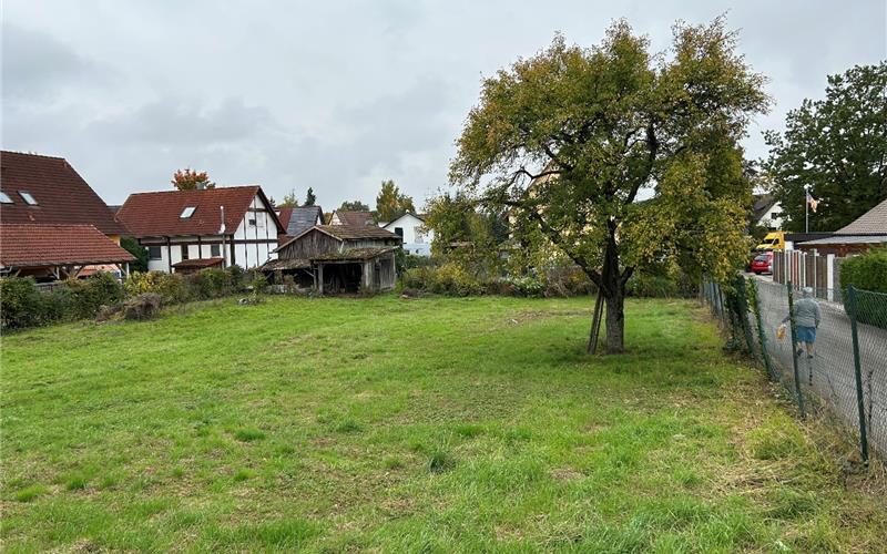 Dieses teilweise unbebaute Grundstück in der Talstraße 12/Marderweg befindet sich in Gemeindebesitz. GB-Foto: gb