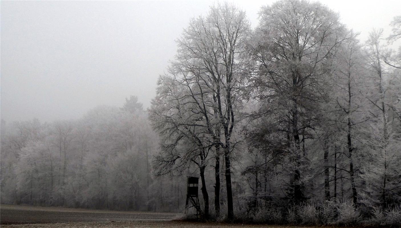 Dieses winterliche Bild hat Klaus Pfisterer in Oberjesingen gemacht. 