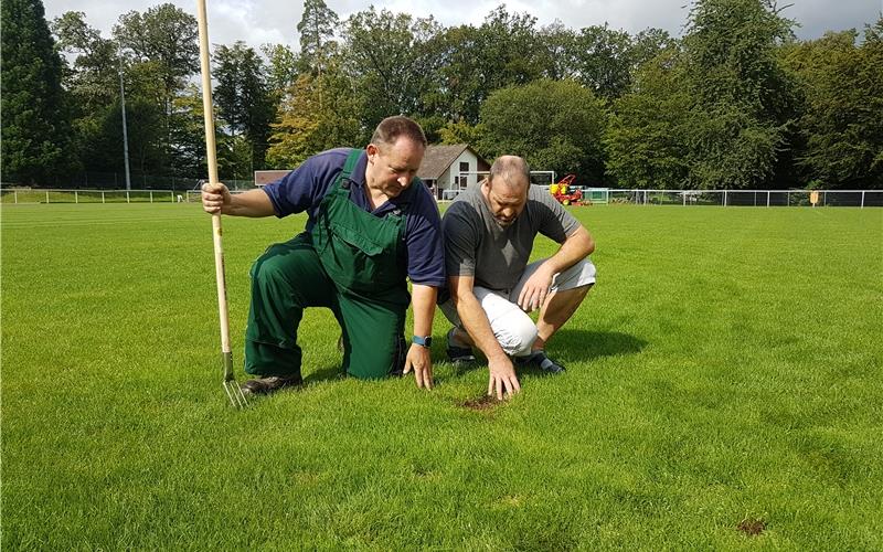 Dieter Notter (links) und Horst Gimmel begutachten die Schäden am Kayher Rasen. Das Feld ist übersät mit Löchern GB-Fotos: ros/gb