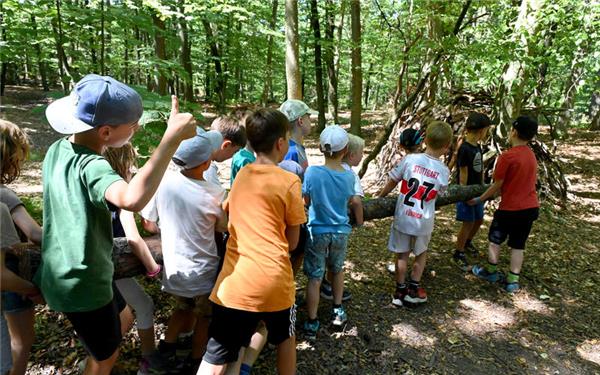 Digitale Medien sind ein paar Stunden außen vor, wenn die Kinder am Alten Rain bei der Ferienfreizeit toben. GB-Foto: Holom