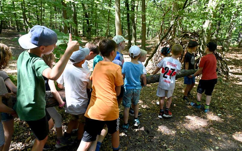 Digitale Medien sind ein paar Stunden außen vor, wenn die Kinder am Alten Rain bei der Ferienfreizeit toben. GB-Foto: Holom