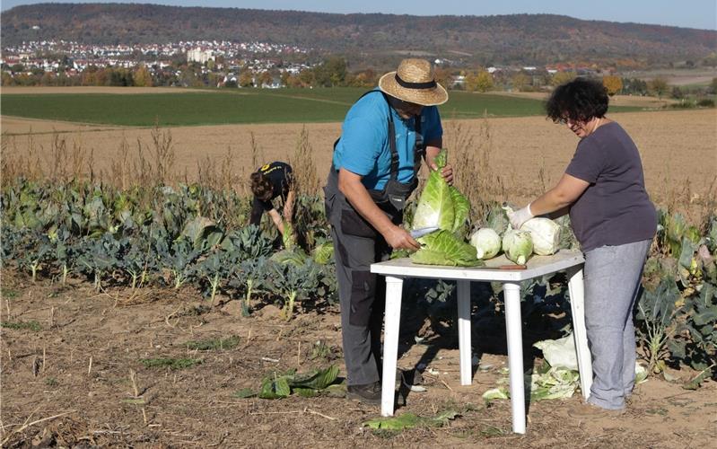 Filderkraut gedeiht auf Reustener Ackerboden Dirk Wenning, Regina Gebert und im Hintergrund Tochter Jette Wenning bei der KrauternteGB-Foto: Bäuerle