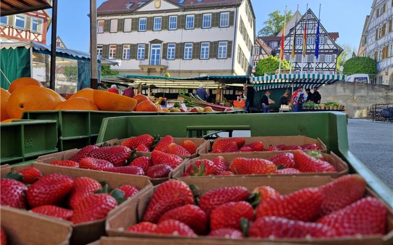 Diskussion: Soll auf Wochenmärkten auch Alkohol ausgeschenkt werden dürfen?