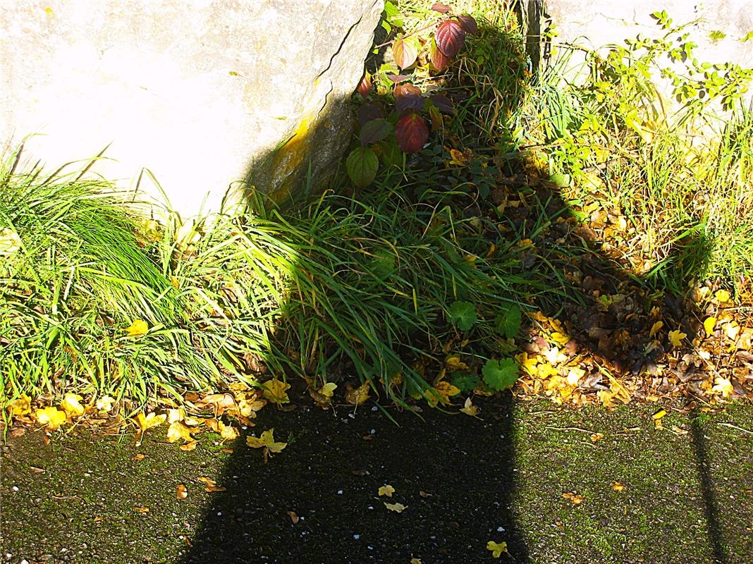 Drah di net um, der Shadowman geht um ...  Von Frank Winter aus Nebringen.