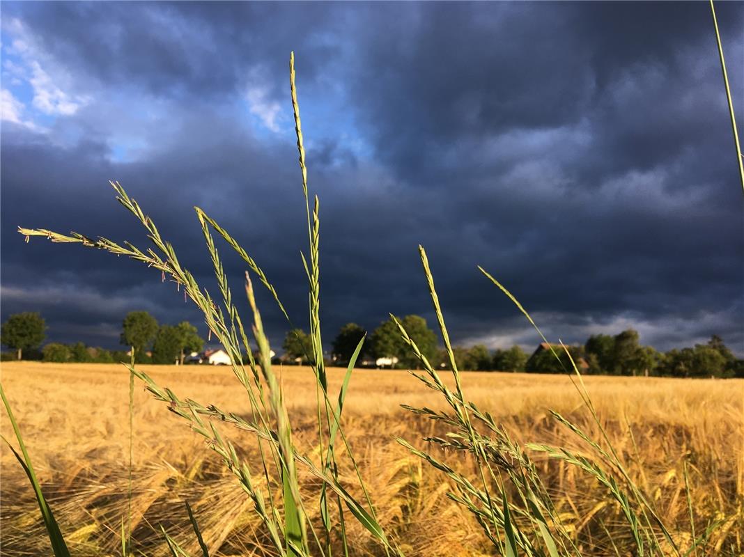 Dunkle Wolken zogen am frühen Montagmorgen über Bondorf auf. Carmen Sowinski hie...