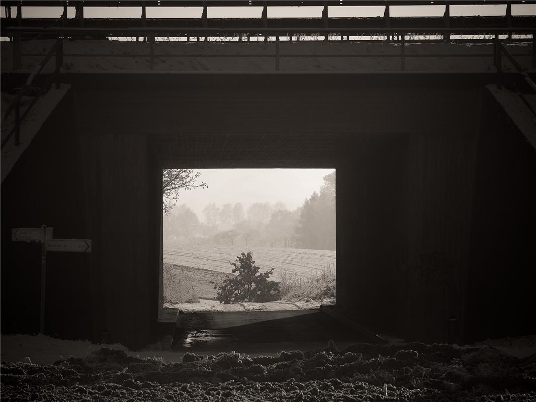 Durchblick beim Winterspaziergang.  Von Franz Weiß aus Rottenburg.