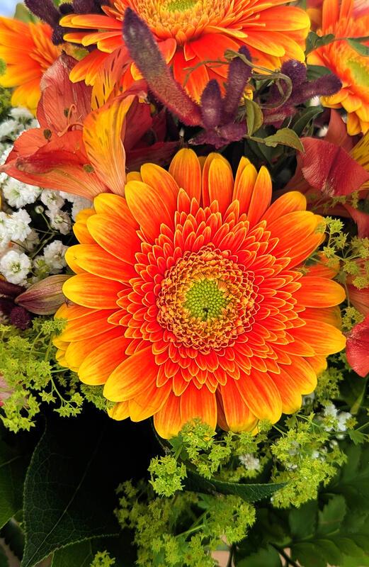 Ein Blumenstrauß, den man nicht alle Tage sieht.  Von Silas Elsner aus Mönchberg...