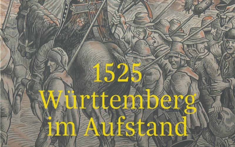 Ein Buch über Württemberg im Aufstand.  GB-Repro: gb