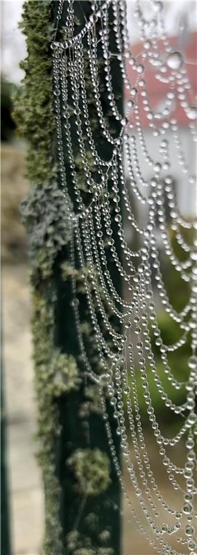 Ein Collier der Natur.  Von Cornelia Rinkert aus Herrenberg.