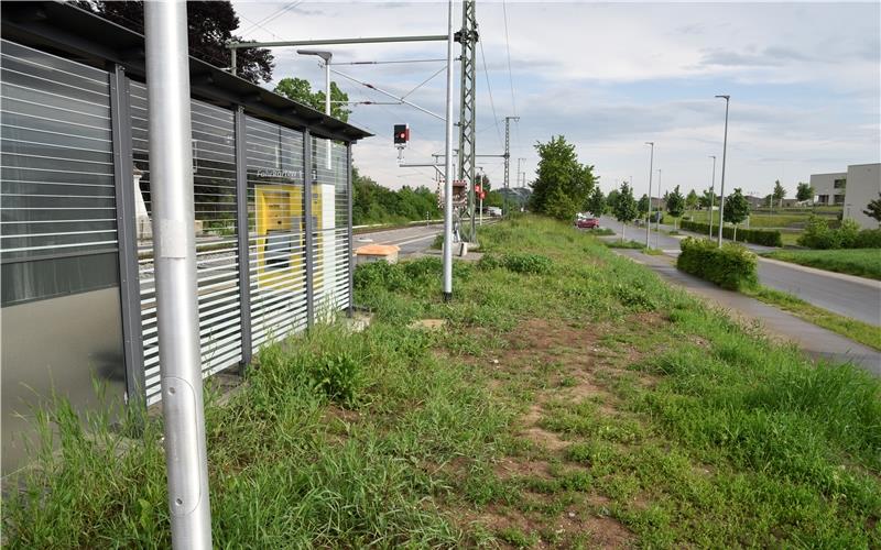 Ein Diskussionspunkt im Rat waren auch die Hecken zwischen Gehweg und Alemannenweg. Rechts im Hintergrund die Entringer Gemeinschaftsschule. GB-Foto: Reichert