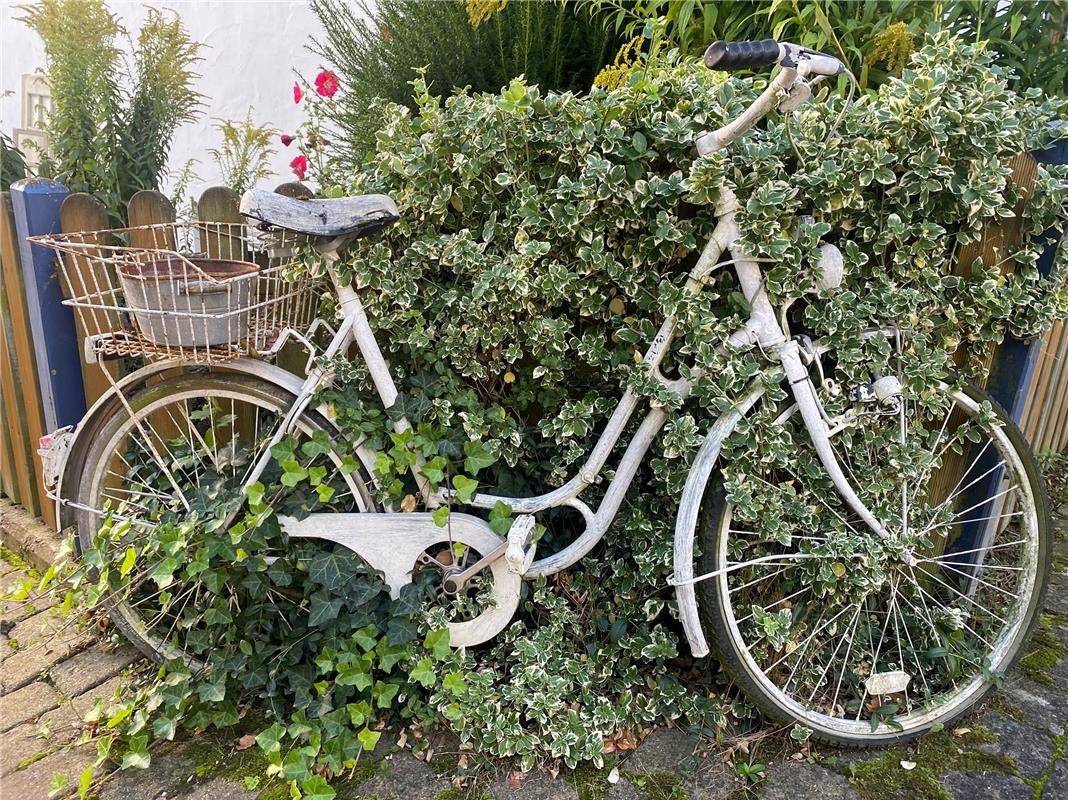 Ein Fahrrad ganz einsam da so steht, bereit ist für den kalten Winter, bevor der...