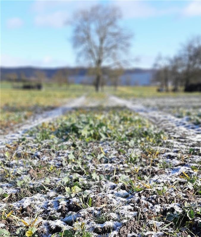 Ein Hauch von Winter hat Einzug gehalten über den Feldern und Wiesen in Gültstei...