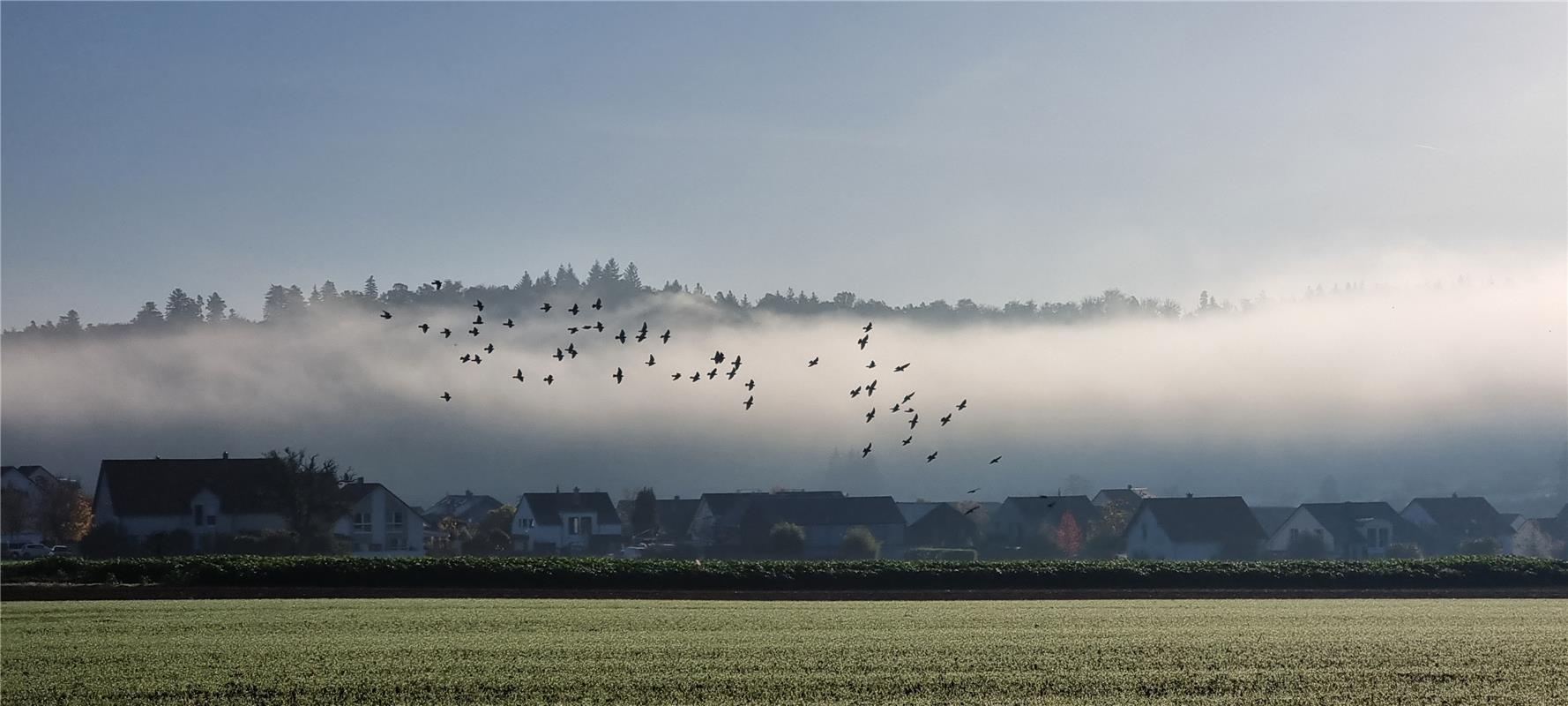 Ein Herbstmorgen in Nufringen. Von Roland Marquardt aus Nufringen.