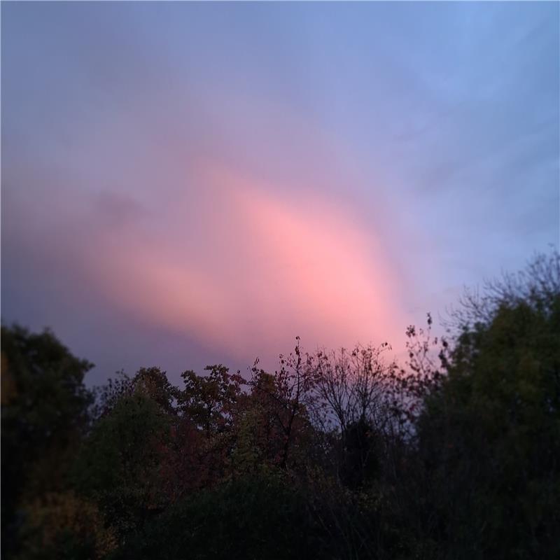 Ein Herz für Haslach. Von Stephanie Brachtl aus Haslach.