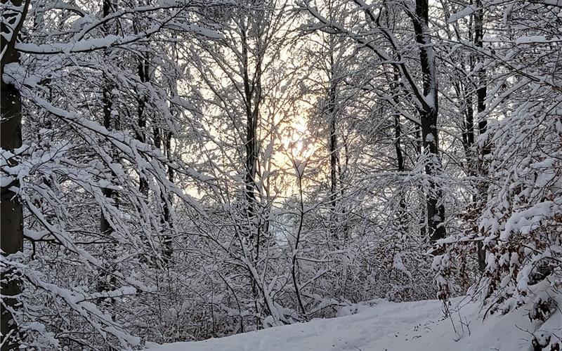 Ein Oberjesinger Survivaltrainer lehrt andere die Überlebenskunst am liebsten im tiefsten Winter, denn er weiß: Wer in der Kälte überlebt, schafft es auch im Warmen. GB-Foto