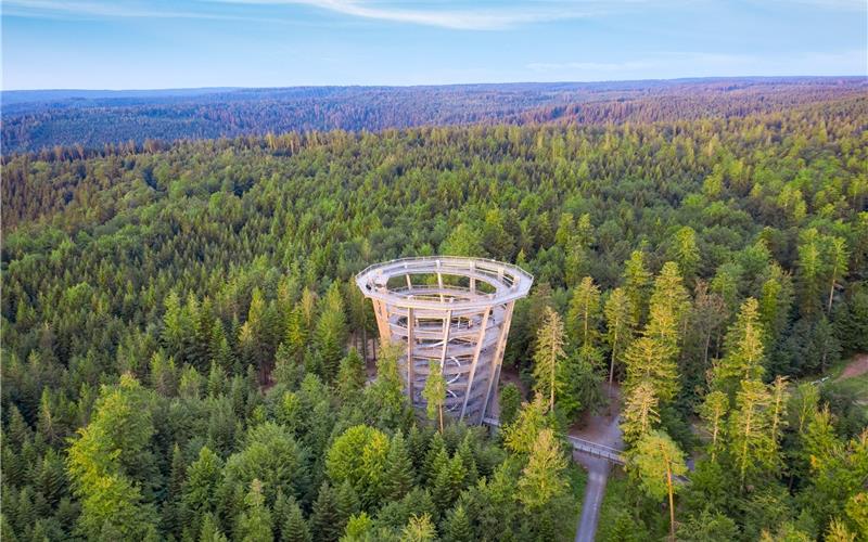 Ein Turm, ein Wald, ein Erlebnis in Bad Wildbad.GB-Foto: Erlebnis Akademie AG/Baumwipfelpfad Schwarzwald