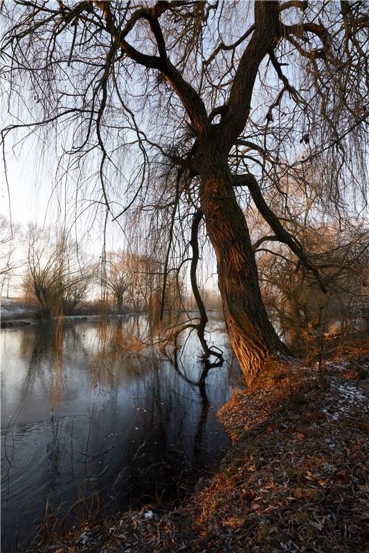 Ein eiskalter Morgen am Eisweiher. Von Anne Biedermann aus Herrenberg.