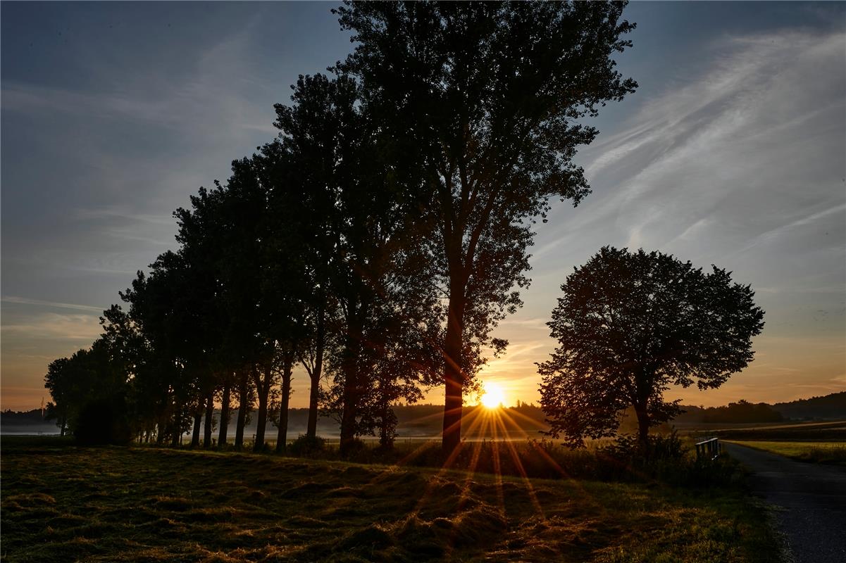 Ein erwachende Morgen in der Krebsbachaue...  Von Anne Biedermann aus Herrenberg...