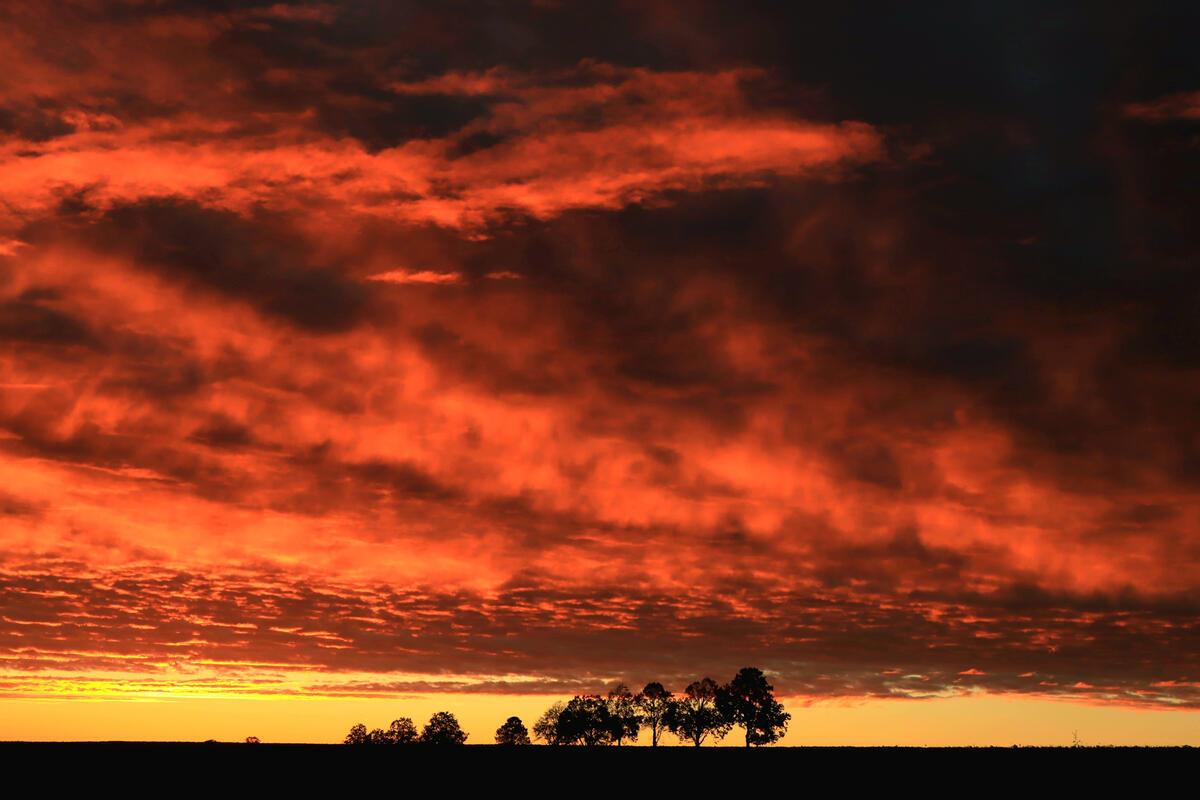 Ein feuerroter Sonnenaufgang in Hildrizhausen ...  Von Natalie Politz aus Hildri...