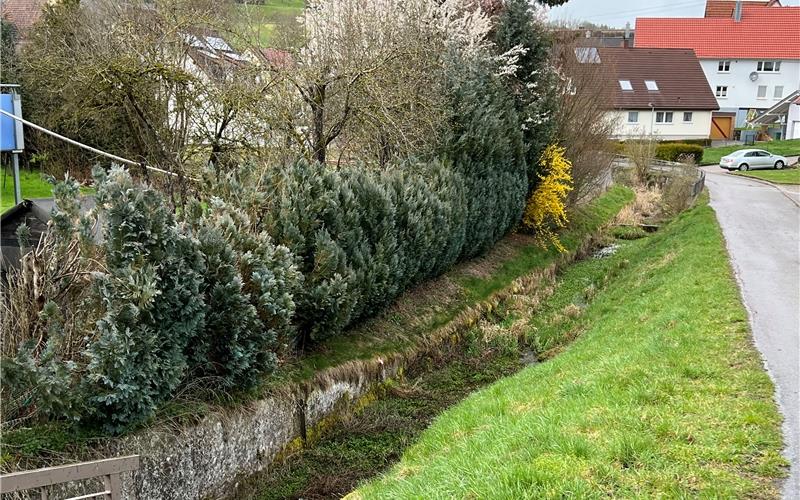 Ein fünf Meter breiter Gewässerrandstreifen ist in Sulz am Eck zum Agenbach hin vorgesehen, um den Bachlauf künftig eventuell aufzuwerten. GB-Foto: Priestersbach