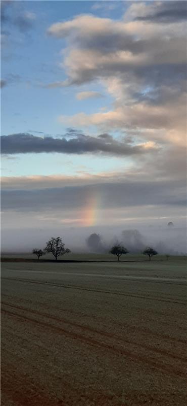 Ein herrlicher Regenbogen kämpft sich durch den Morgennebel über Deckenpfronn. A...