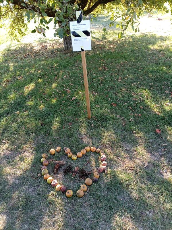 Ein herzliches Danke für Gratisäpfel! Auf der Streuobstwiese sind Bäume mit dem ...