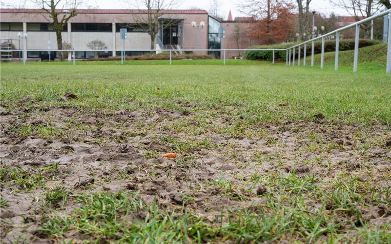 Ein neu zu bauender Kunstrasen könnte dazu beitragen, den Platz auch bei schlechtem Wetter nutzen zu können. GB-Foto: Vecsey