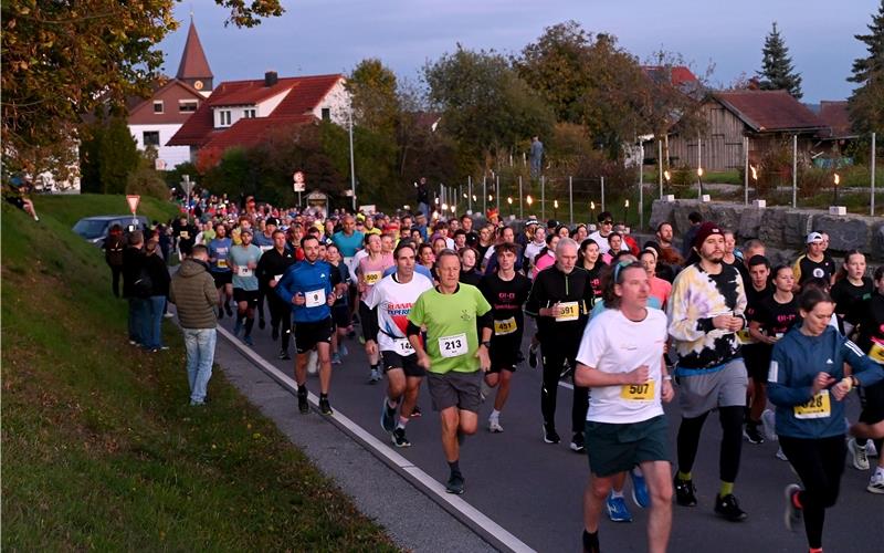 Ein schier endloser Lindwurm mit weit über 600 Teilnehmern beim Haupt- und Jedermannlauf in Kuppingen. GB-Foto: Holom